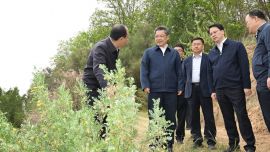 任振鶴在調(diào)研省直單位包片支持蘭州兩山綠化工作時強(qiáng)調(diào) 更好統(tǒng)籌擴(kuò)綠興綠護(hù)綠 更加注重提質(zhì)興業(yè)利民 久久為功讓城鄉(xiāng)居民有更多的綠色獲得感