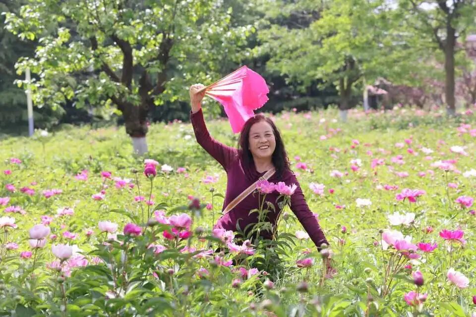 西峰:花海次第绽放“绣”出城市高颜值