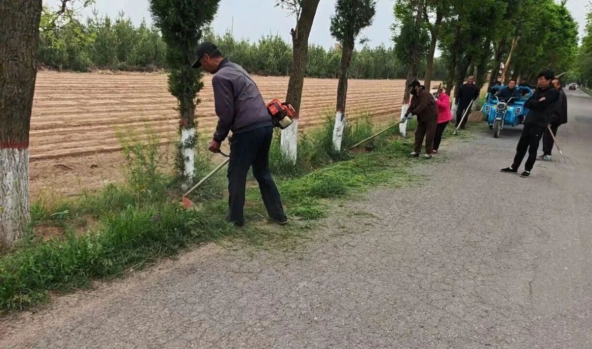 宁县湘乐镇：扎实推进&ldquo;三清三治一提升&rdquo; 绘就和美新画卷