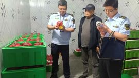 西峰区：后官寨市场监管所开展酒类批发专项检查