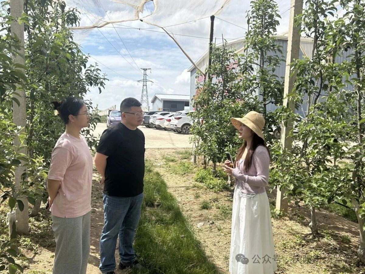 庆阳市苹果有机产品认证专题公益培训会成功举办
