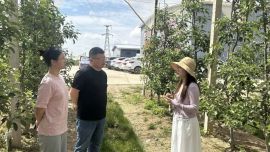 庆阳市苹果有机产品认证专题公益培训会成功举办