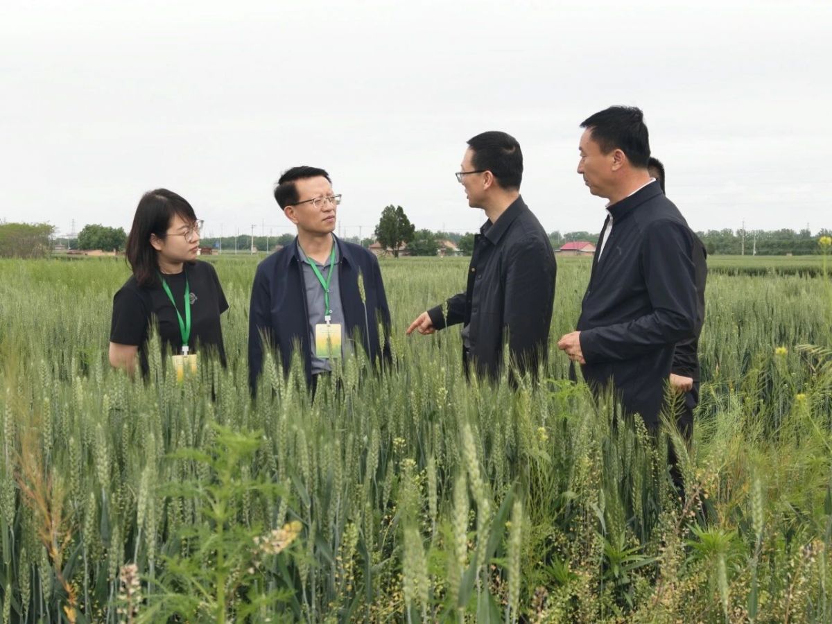慶陽隊(duì)赴縣區(qū)開展農(nóng)普遙感核查及夏糧生產(chǎn)調(diào)研