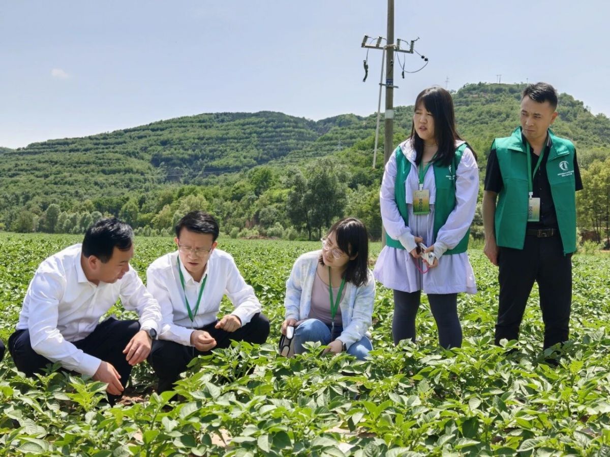 慶陽隊(duì)赴縣區(qū)開展農(nóng)普遙感核查及夏糧生產(chǎn)調(diào)研