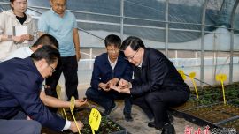 胡昌升在慶陽平涼調研時強調 抓實常態(tài)化幫扶促進鄉(xiāng)村全面振興 推動城市高質量發(fā)展造福人民群眾