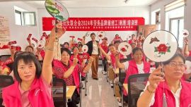 相約香包節(jié) 錦繡醉隴原丨執(zhí)針逐繡夢 匠心守非遺——記鎮(zhèn)原縣慶陽香包繡制非遺代表性傳承人蔣存琴