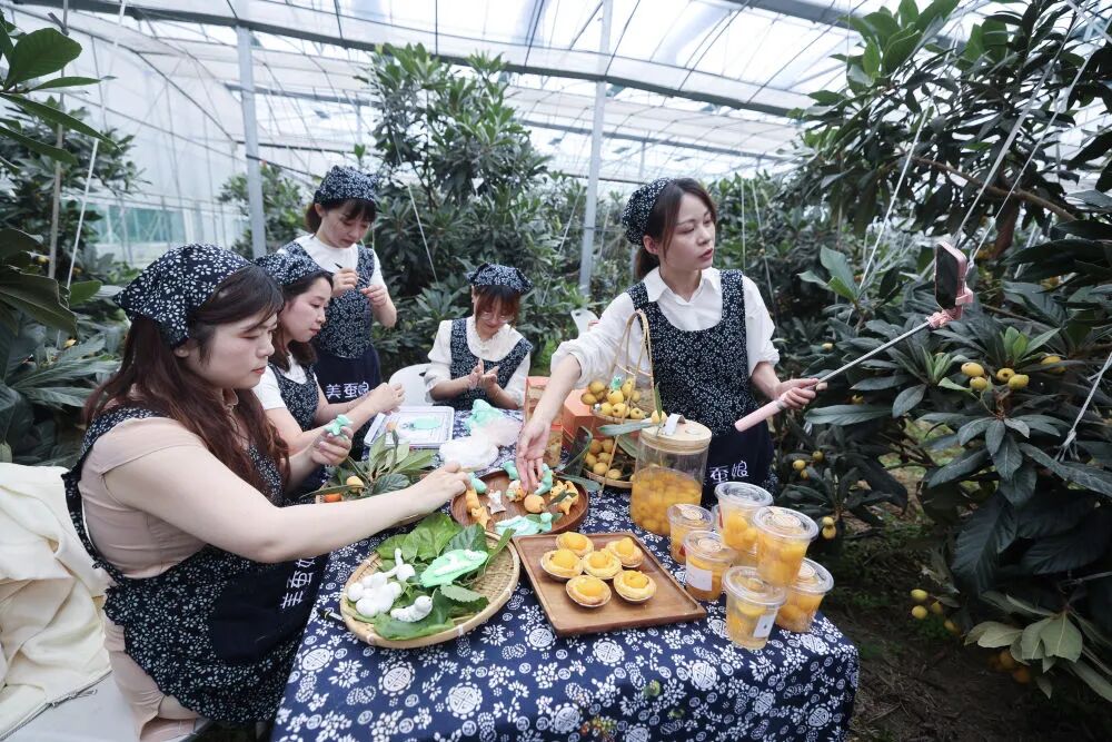 在杭州市临平区塘栖镇塘北村的枇杷标准化种植基地的大棚内,工作人员介绍枇杷衍生产品。新华社记者 徐昱 摄