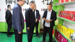 李隆基调研正宁县紫苏种植加工和市场营销情况