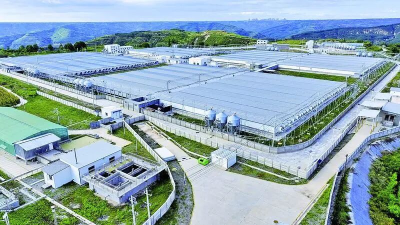 正宁东方希望畜牧有限公司湫头镇西沟6.25万头生猪育肥场。