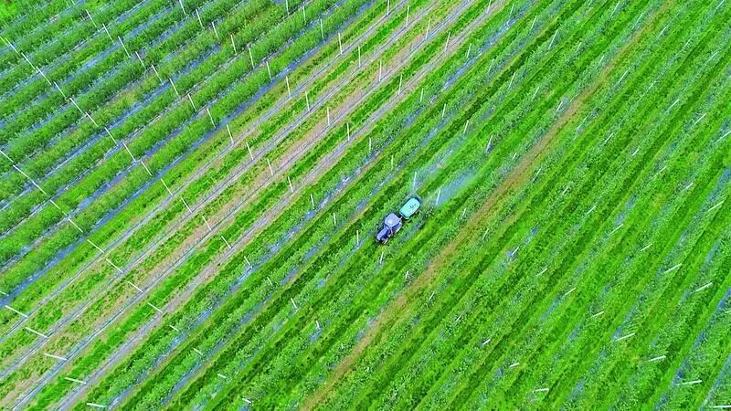 正宁县宫河镇陇上鲜品现代矮化密植苹果产业园。