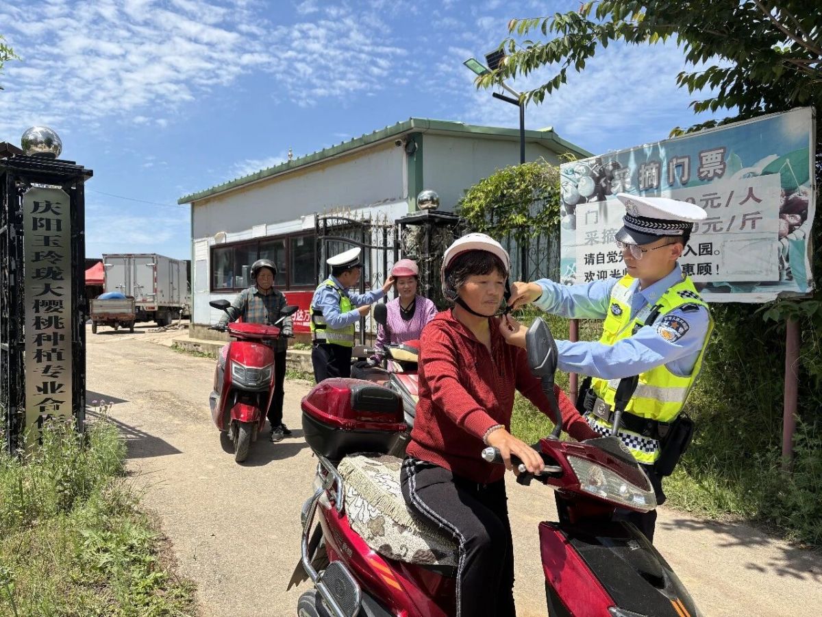 庆阳市西峰分局显胜派出所冒雨抢摘“伤心果”,守护群众“甜日子”
