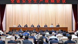 任振鹤在全省安全生产视频会议上强调 以铁的手腕铁的纪律铁的要求从严从实狠抓安全生产 牢牢守住发展不能以牺牲安全为代价这条底线
