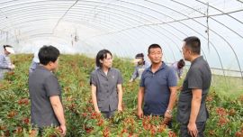  从“马锡五”的根脉长成“新时代”的大树——西峰区人民法院什社人民法庭的为民实践路