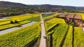 风过大塬