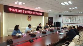 宁县政协召开数字经济招商引资工作座谈会