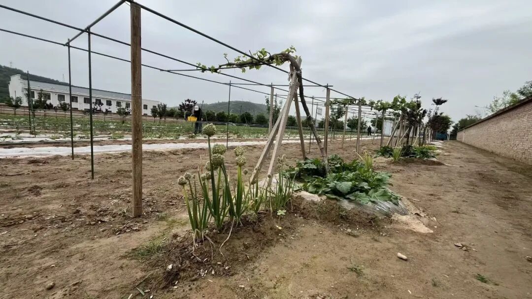 菜园子里的&ldquo;公路时光&rdquo;