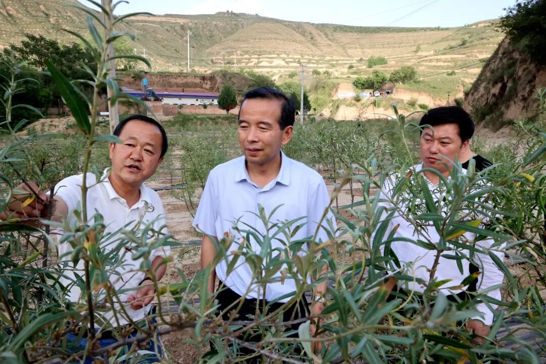 魏凯选调研乡镇重点工作推进情况时强调 紧盯目标抓落实 深耕重点提质效 奋力推动区域经济社会高质量发展