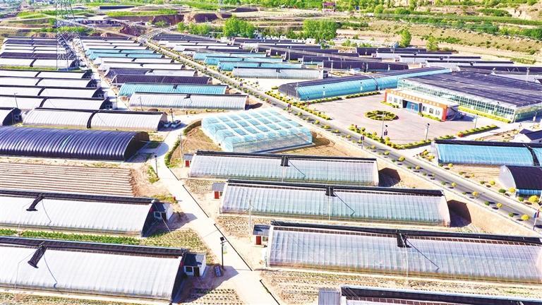 天津市武清區(qū)援建的靜寧縣界石鋪鎮(zhèn)李堡村智慧特色蔬菜產(chǎn)業(yè)基地。（司磊）