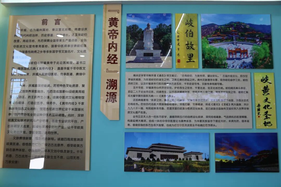 四大展馆布展收官——走进岐黄康养馆 邂逅千年养生文脉