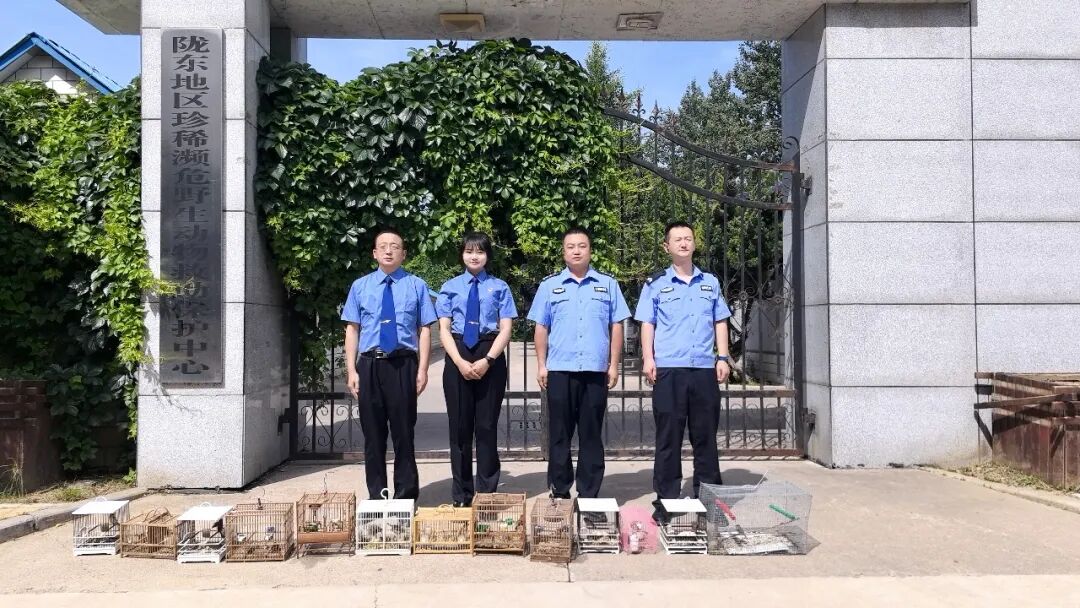 宁县检察护航17只野生棕头鸦雀重归自然