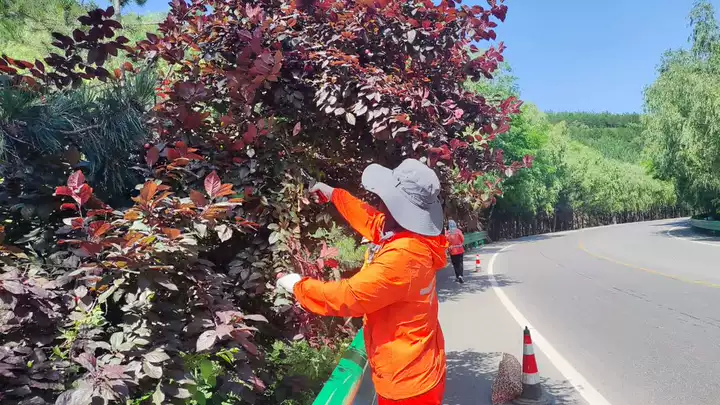庆城公路段多措并举筑牢端午道路通行保障防线