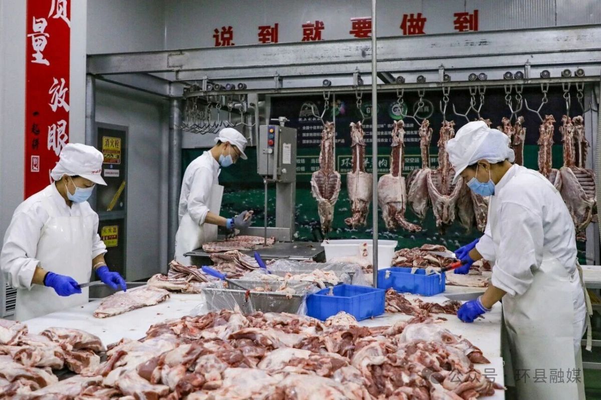 从市场到车间 环县羊羔肉“跑”出端午销售加速度