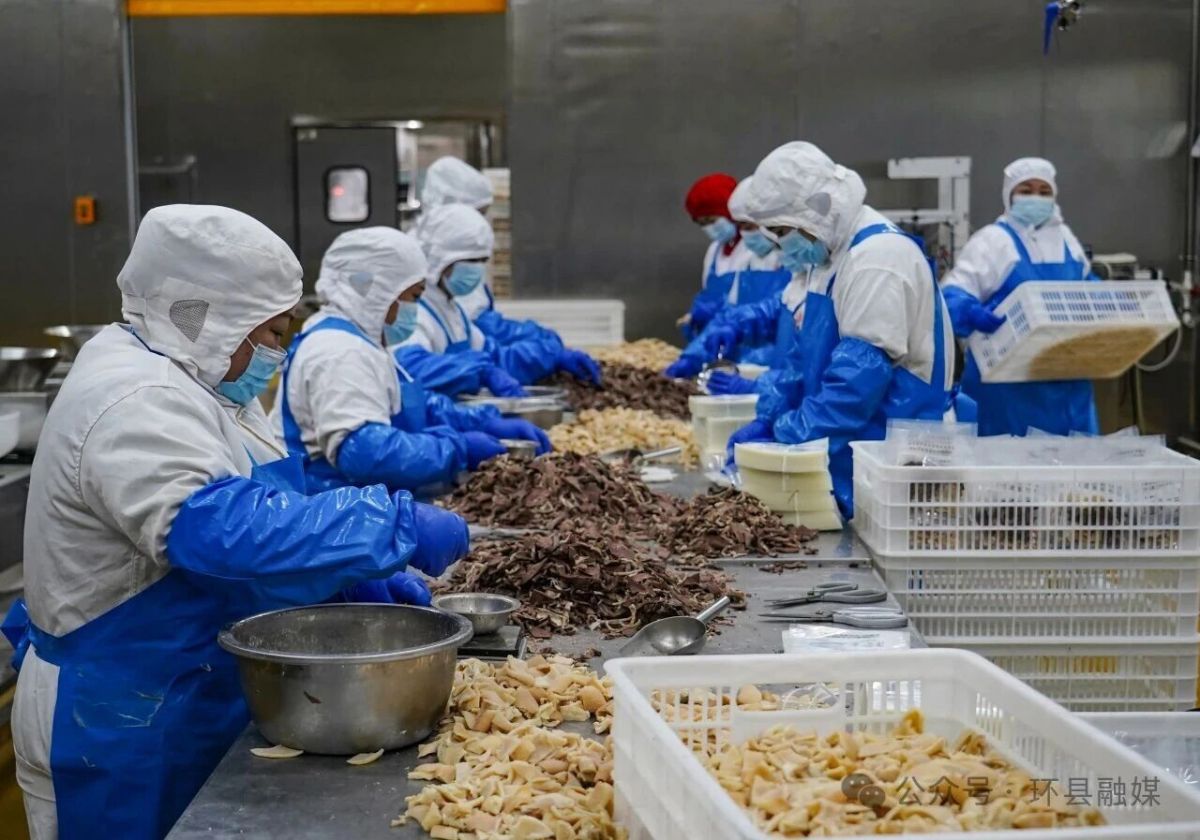 从市场到车间 环县羊羔肉“跑”出端午销售加速度