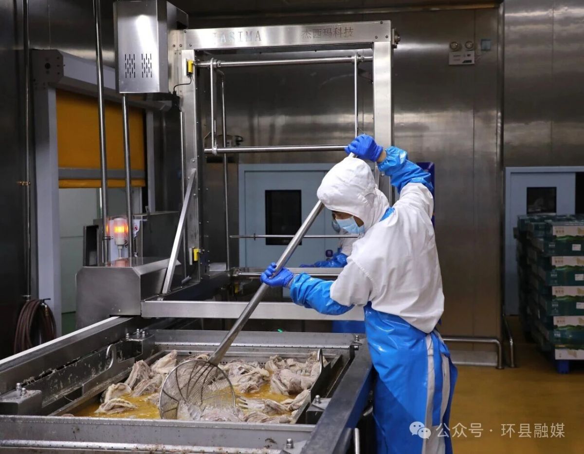 从市场到车间 环县羊羔肉“跑”出端午销售加速度