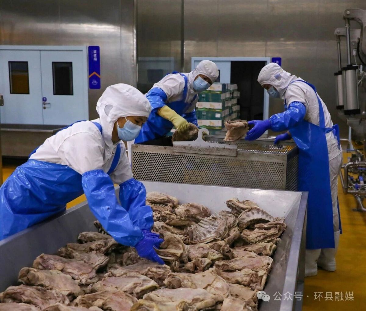 从市场到车间 环县羊羔肉“跑”出端午销售加速度