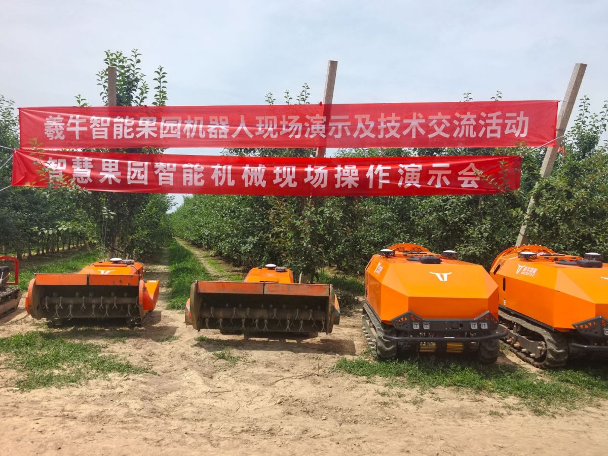 微信图片_20260618105030