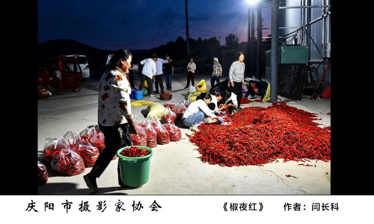 全市摄影、农民画及民间艺术作品精品展——摄影作品欣赏
