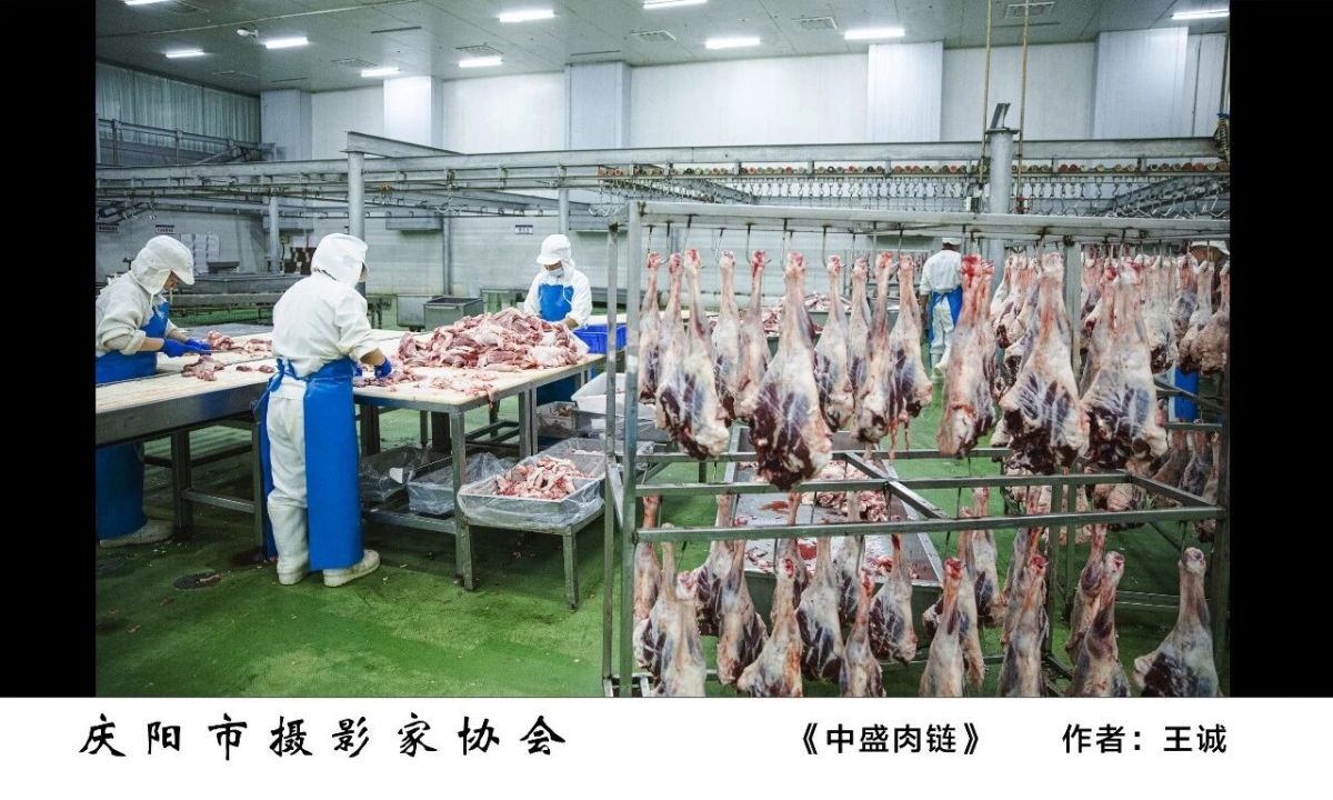 全市摄影、农民画及民间艺术作品精品展——摄影作品欣赏