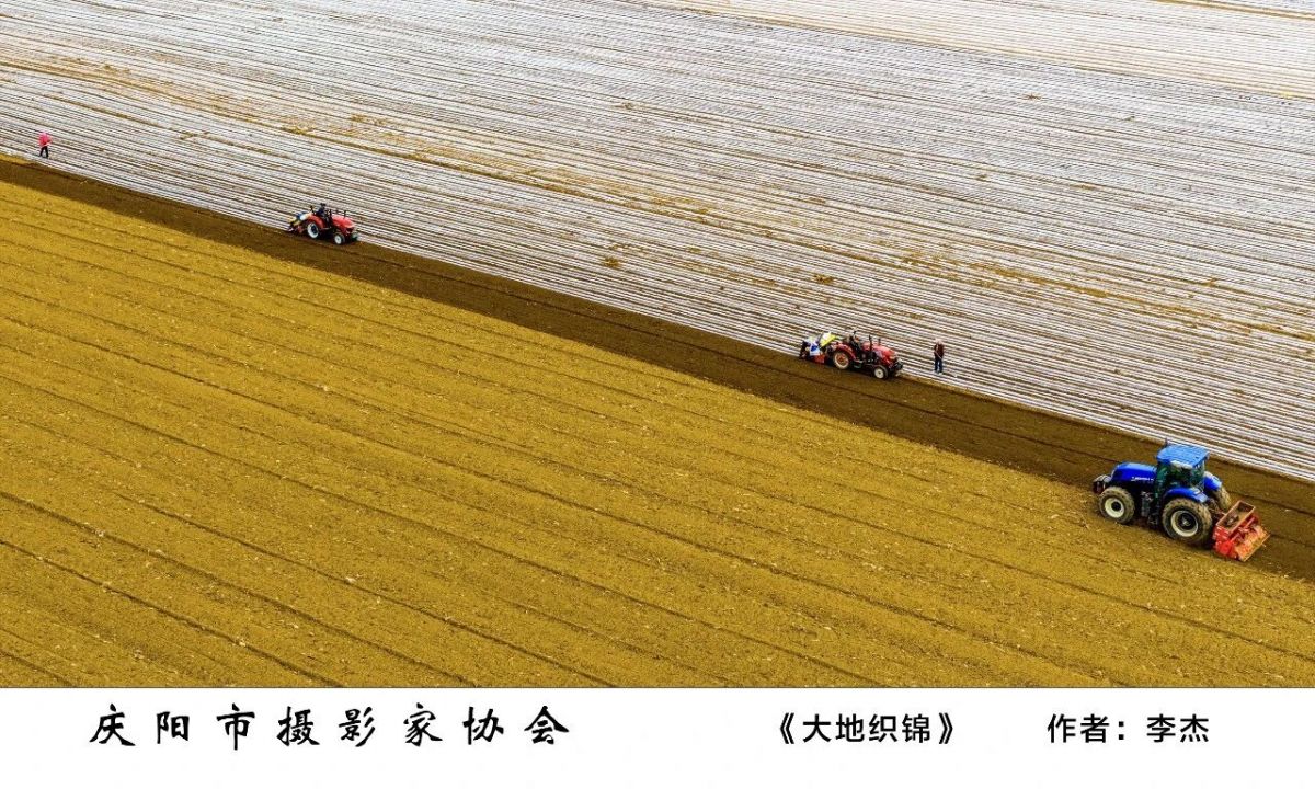 全市摄影、农民画及民间艺术作品精品展——摄影作品欣赏