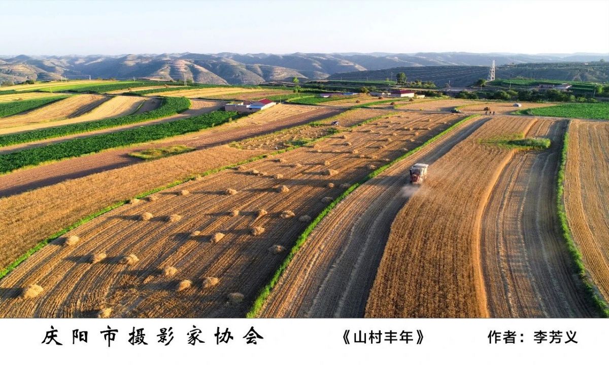 全市摄影、农民画及民间艺术作品精品展——摄影作品欣赏