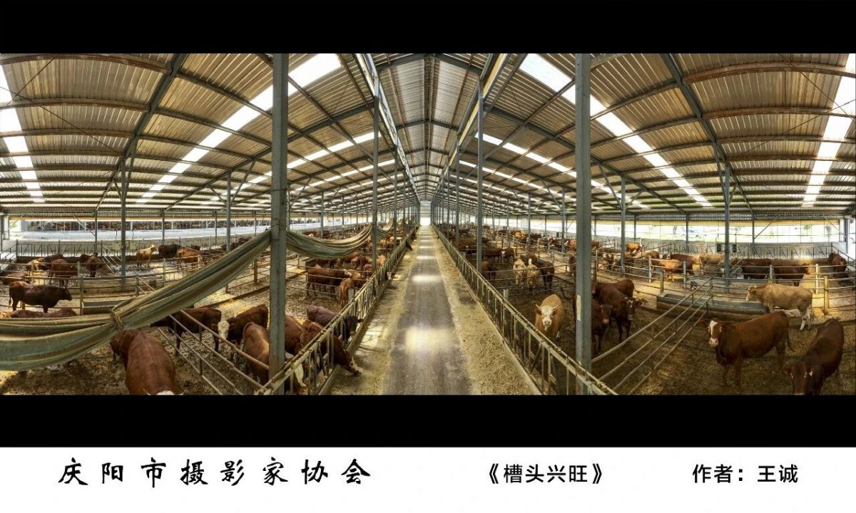 全市摄影、农民画及民间艺术作品精品展——摄影作品欣赏