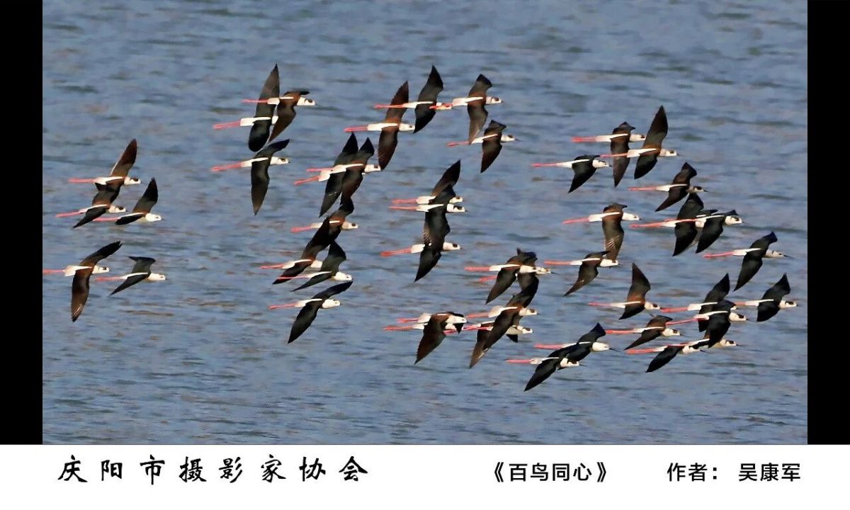 全市摄影、农民画及民间艺术作品精品展——摄影作品欣赏
