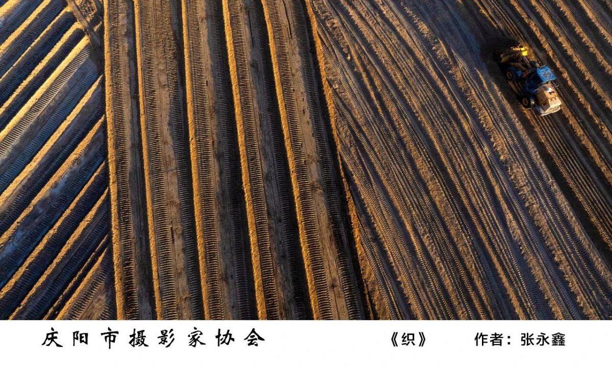 全市摄影、农民画及民间艺术作品精品展——摄影作品欣赏