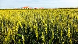 庆城县多措并举筑牢夏收夏种粮食安全屏障