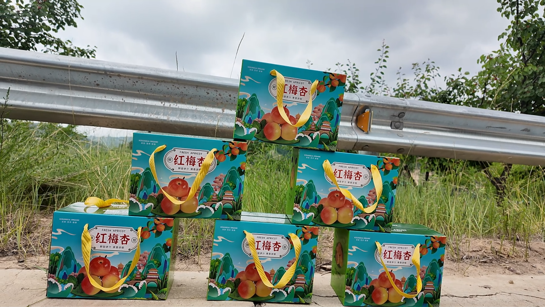 华池：杏满枝头迎仲夏 甜蜜产业助振兴