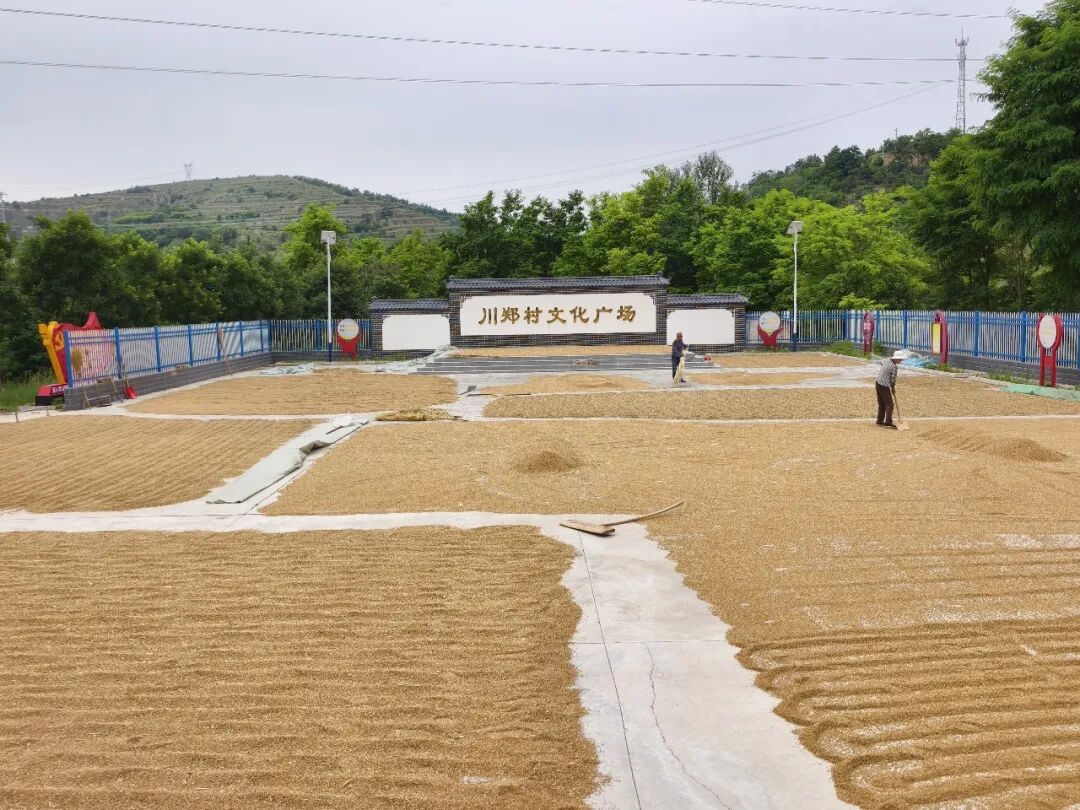 镇原县司法局驻村帮扶推动法治阵地与为民服务深度融合