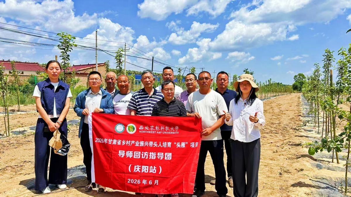 西北农林科技大学专家教授对庆城县乡村产业振兴&ldquo;头雁&rdquo;领头人进行考察回访活动