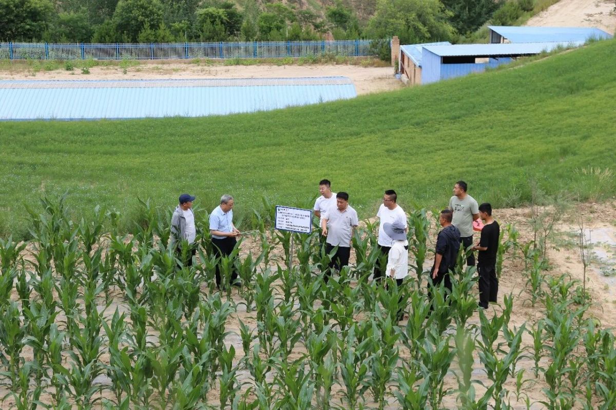 甘肃煤田地质局精准帮扶环县车道镇