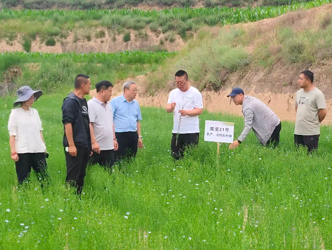 甘肃煤田地质局精准帮扶环县车道镇