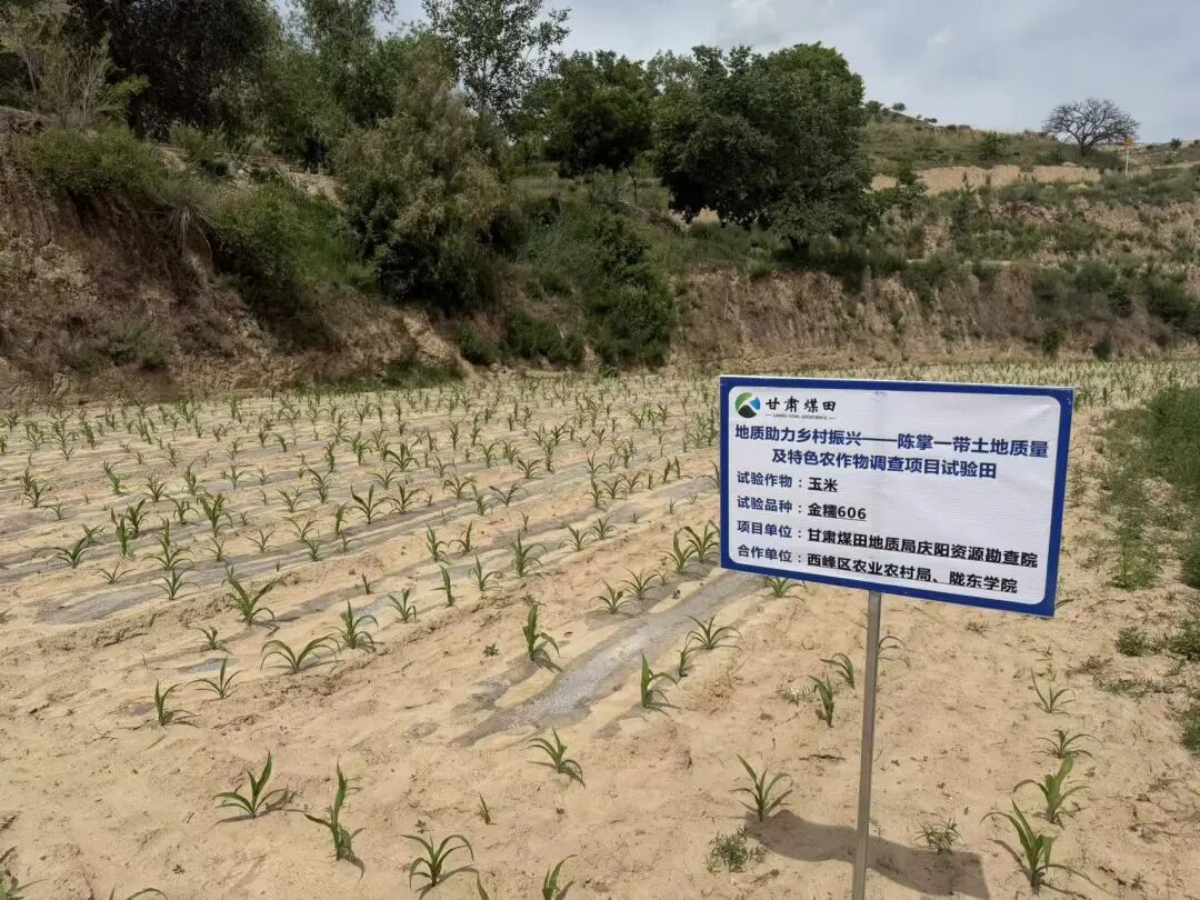 甘肃煤田地质局精准帮扶环县车道镇