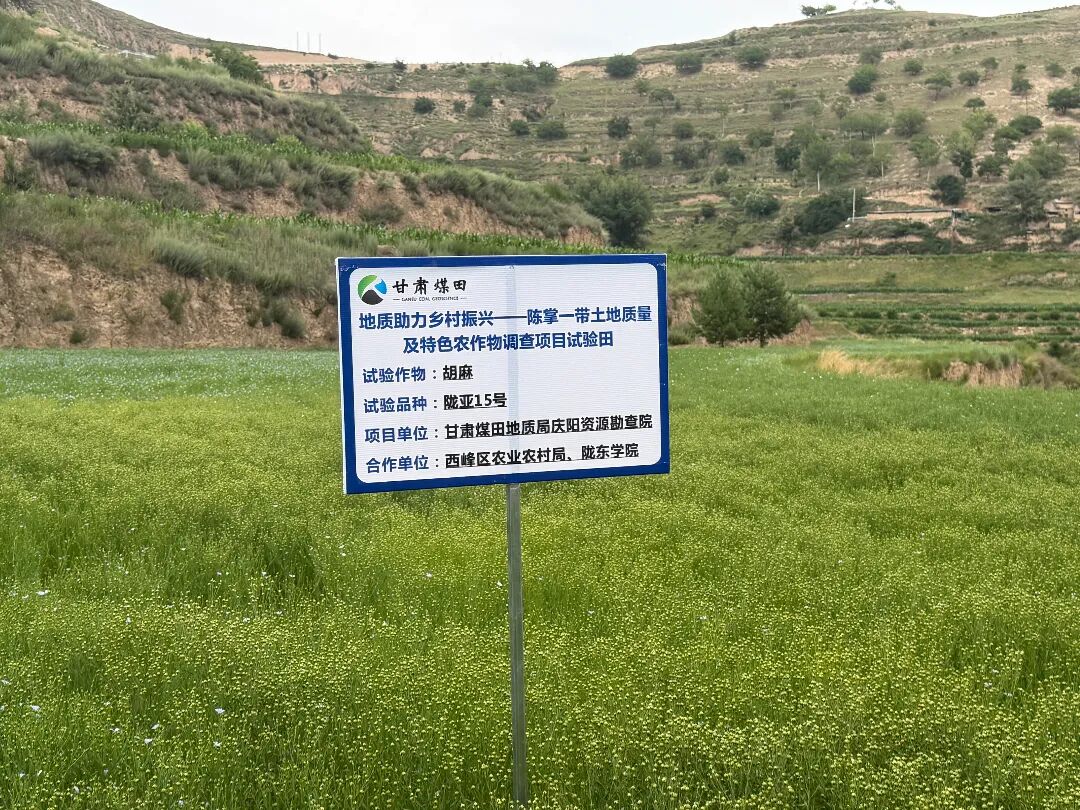甘肃煤田地质局精准帮扶环县车道镇