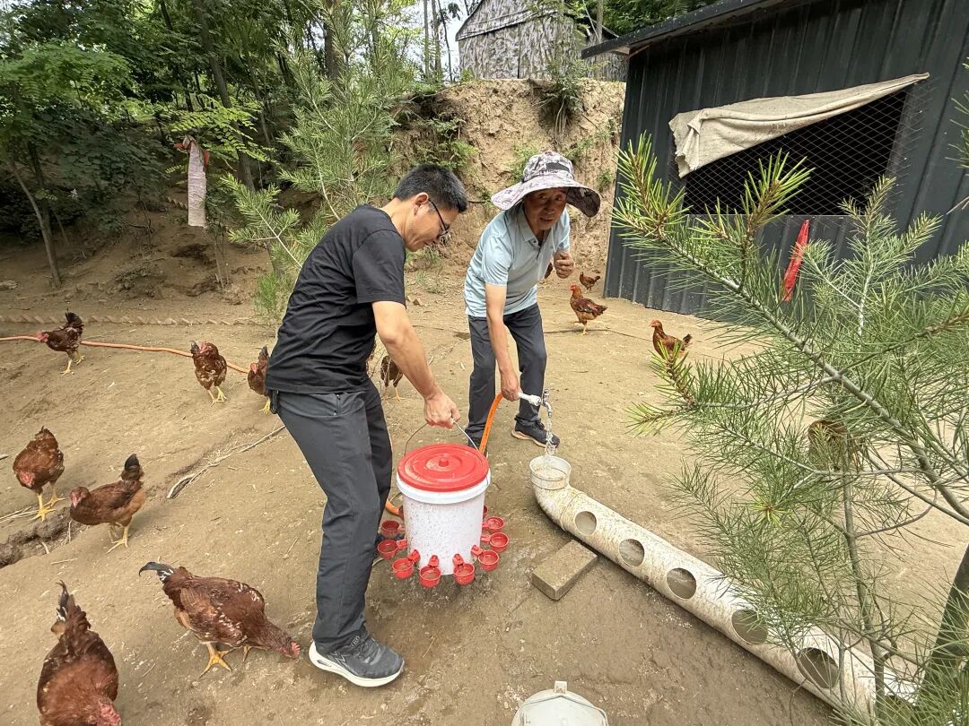 正宁县柴桥子村：深挖红色资源 推进乡村振兴