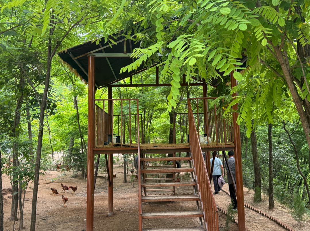 正宁县柴桥子村：深挖红色资源 推进乡村振兴