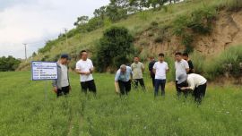 甘肃煤田地质局精准帮扶环县车道镇