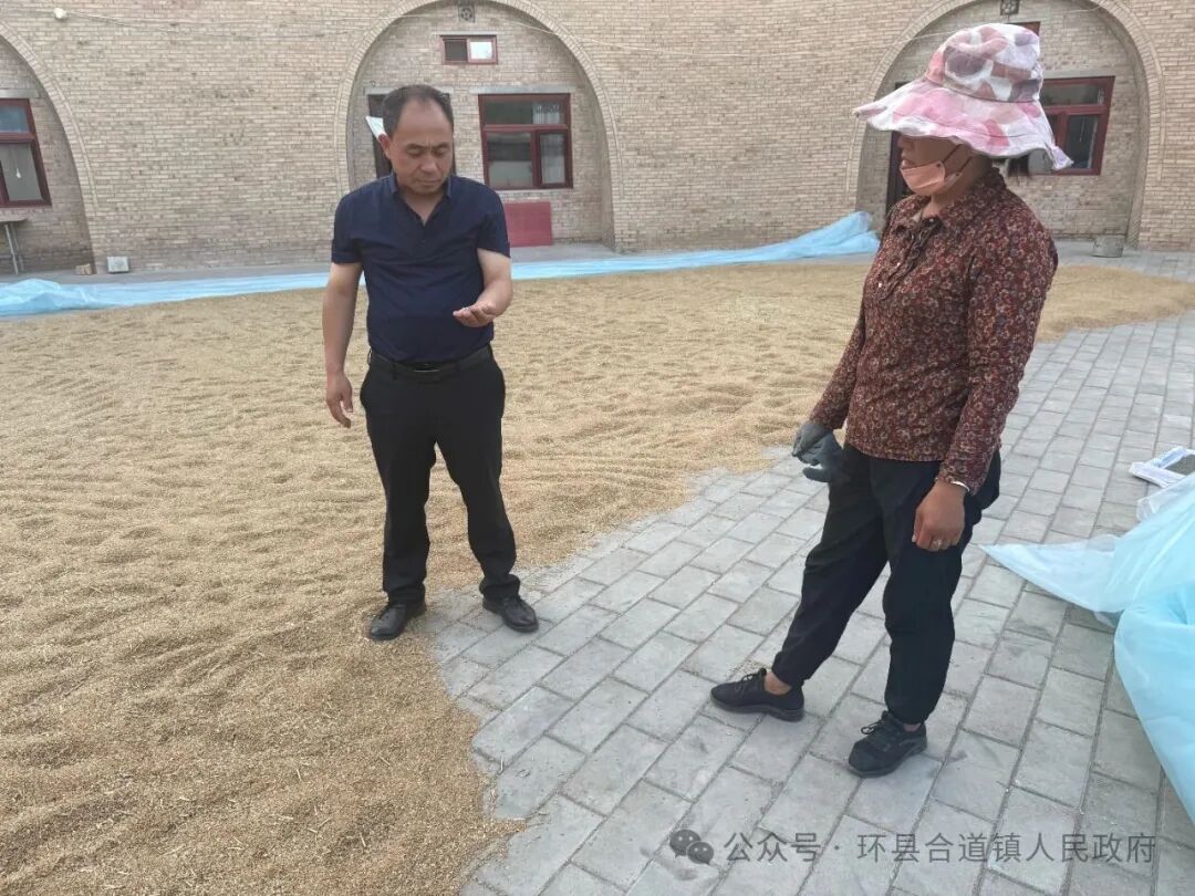 环县合道镇扎实推进&ldquo;三夏&rdquo;抢收工作