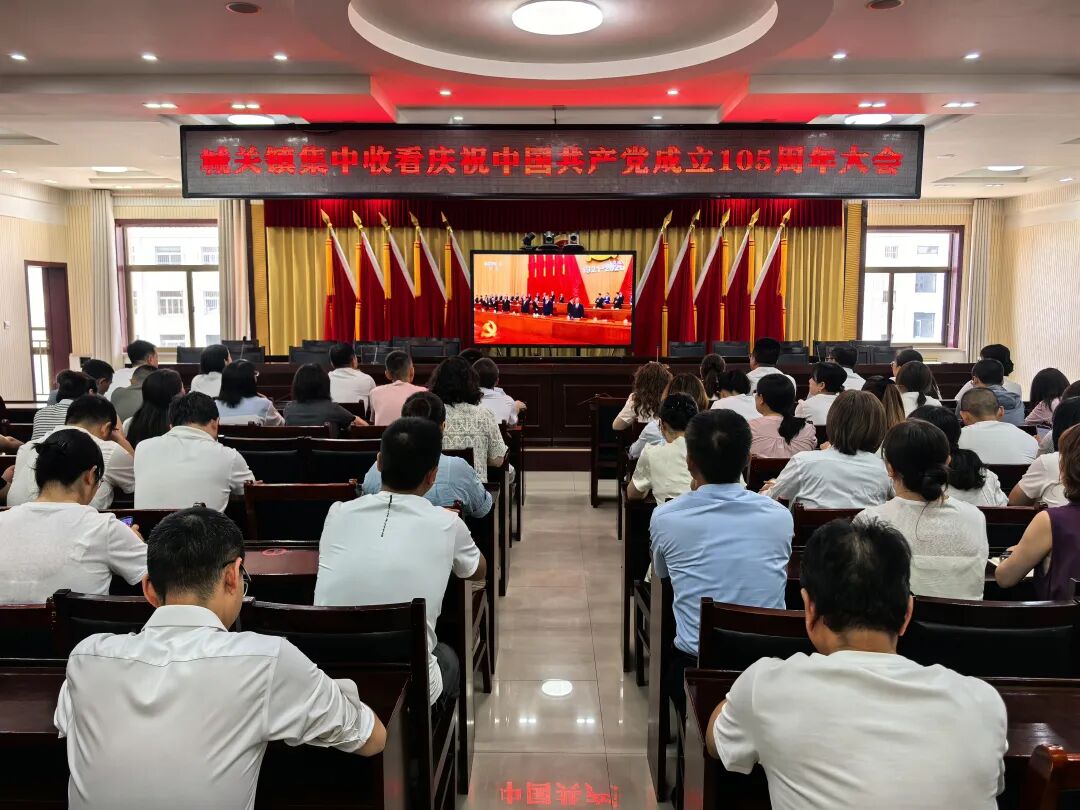 (城关镇党员干部收看庆祝中国共产党成立105周年大会直播)